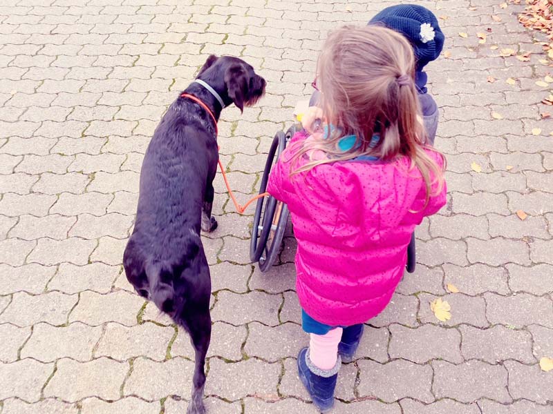 Mädchen fährt Jungen im Rollstuhl spazieren mit Hund